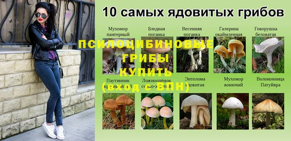 Альфа ПВП Абинск