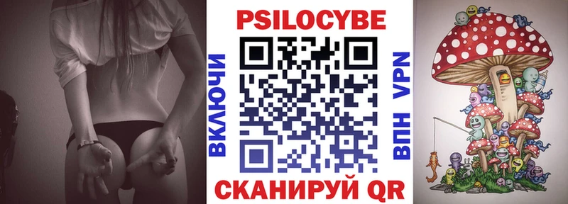 где можно купить наркотик  Стерлитамак  Галлюциногенные грибы MAGIC MUSHROOMS 