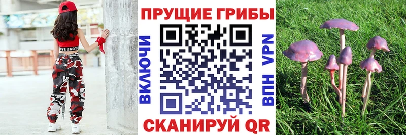 Галлюциногенные грибы MAGIC MUSHROOMS Стерлитамак